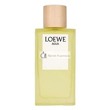 Loewe Agua De Loewe Eau de Toilette, 150ml
