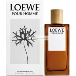 Loewe For Men Eau De Toilette Spray, 100ml