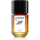 Loewe Paulas Cosmic Eau de Parfum Spray