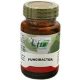 Fungibacter 60 Kapseln