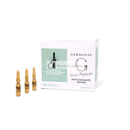 Germinal Antiox Nacht, 30 Ampullen, 1ml