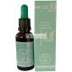 Nutricosmetics Equisalud Yap 31ml
