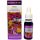 Flowers of Life Mood Tanúsított Organikus Természetes Virág Remedy, 15ml cseppentő és spray