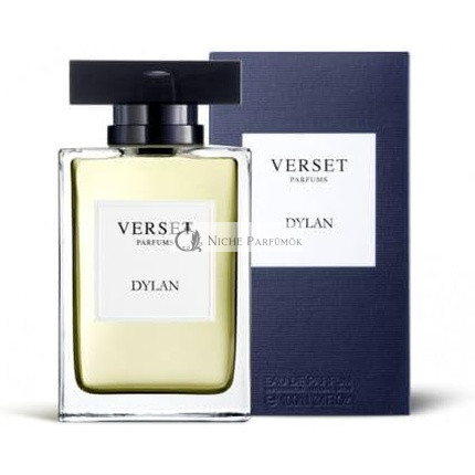 Verset Parfums Dylan Eau de Parfum Spray für Männer, 100ml