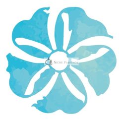 Terpenic Bio Jjojoba Növényi Olaj 1L