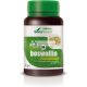 Mgdose Boswelia 1000mg, 30 tabletta