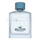 Hollister Free Wave For Him Eau de Toilette für Herren 100 ml