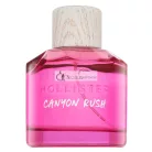 Hollister Canyon Rush Eau de Parfum für Damen 100 ml