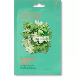 Pure Essence Beifuß Maske