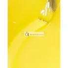 OPI Nail Lacquer körömlakk Exotic Birds Do Not Tweet 15 ml