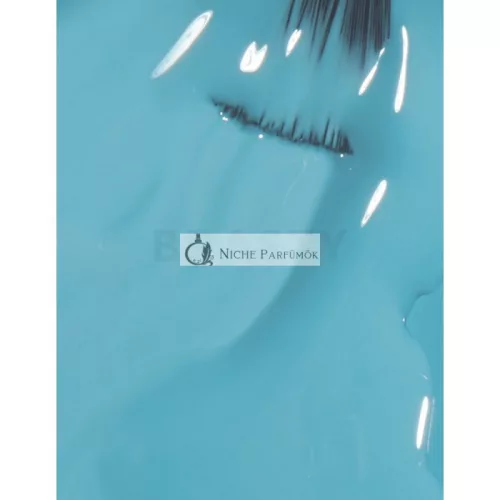 OPI Nail Lacquer körömlakk Can't Find My Czechbook 15 ml