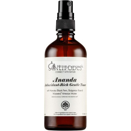 Ananda Antioxidans-reiches Sanftes Tonikum 100ml