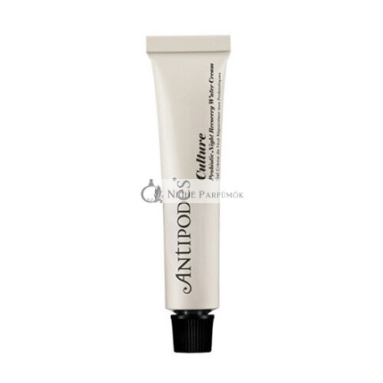 Antipodes Culture Probiotische Nacht Regenerierende Wassercreme 15ml